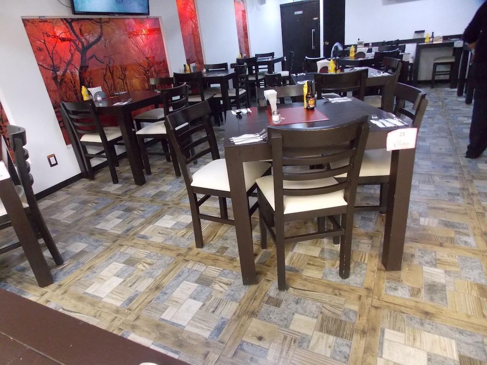 Steinhaus Suites Hamburgo メキシコシティ エクステリア 写真