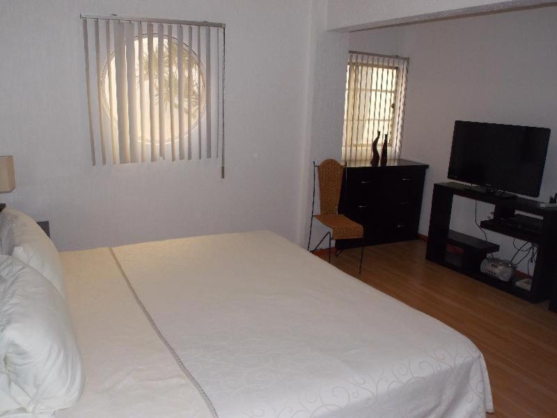 Steinhaus Suites Hamburgo メキシコシティ 部屋 写真