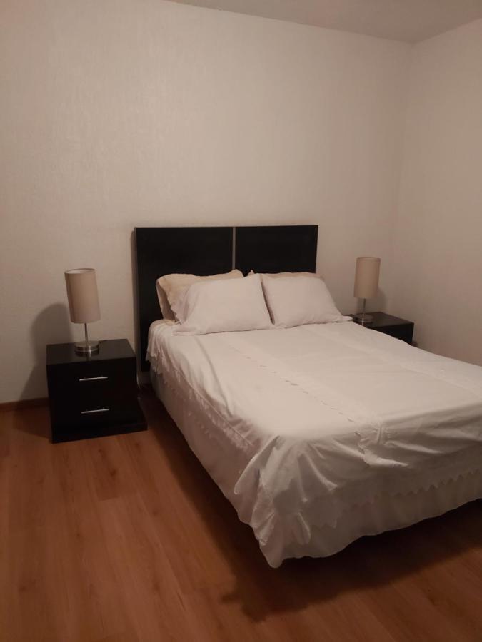 Steinhaus Suites Hamburgo メキシコシティ エクステリア 写真
