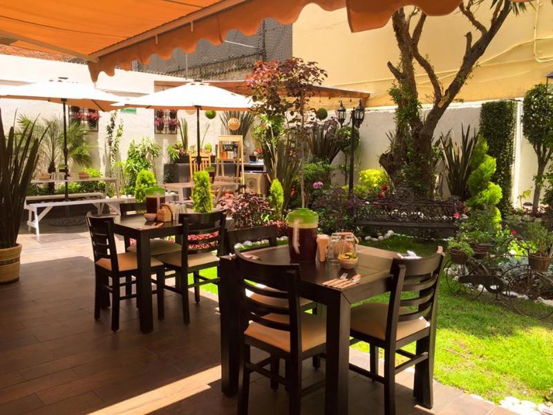 Steinhaus Suites Hamburgo メキシコシティ エクステリア 写真