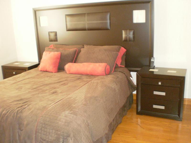 Steinhaus Suites Hamburgo メキシコシティ エクステリア 写真