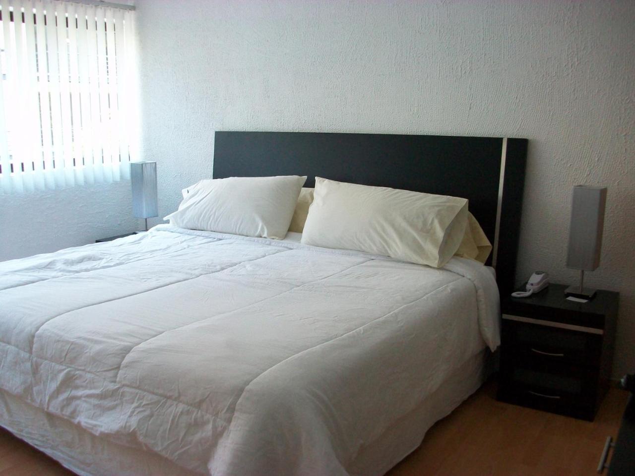Steinhaus Suites Hamburgo メキシコシティ エクステリア 写真