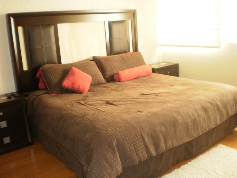 Steinhaus Suites Hamburgo メキシコシティ エクステリア 写真